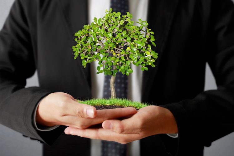 A business man holding a miniature tree model. 
