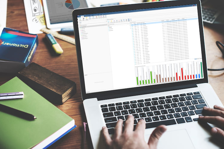 A researcher using their laptop to analyse work at home. 